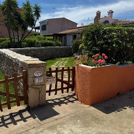 Lupo 1 Casa de Férias